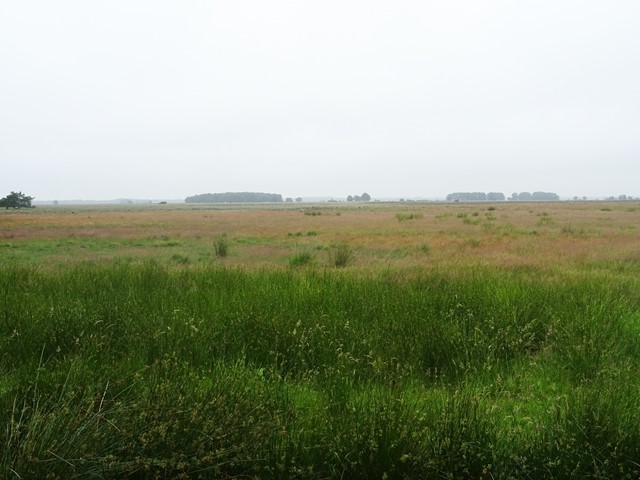Het weidse landschap van het Dwingelderveld