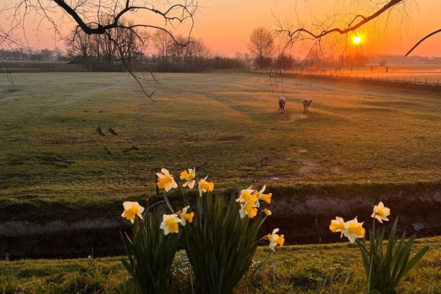 Wandelen In De Vroege Ochtend Dit Zijn De Voordelen Prachtige Zonsopkomst 2