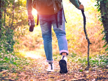Wandelaar in het bos