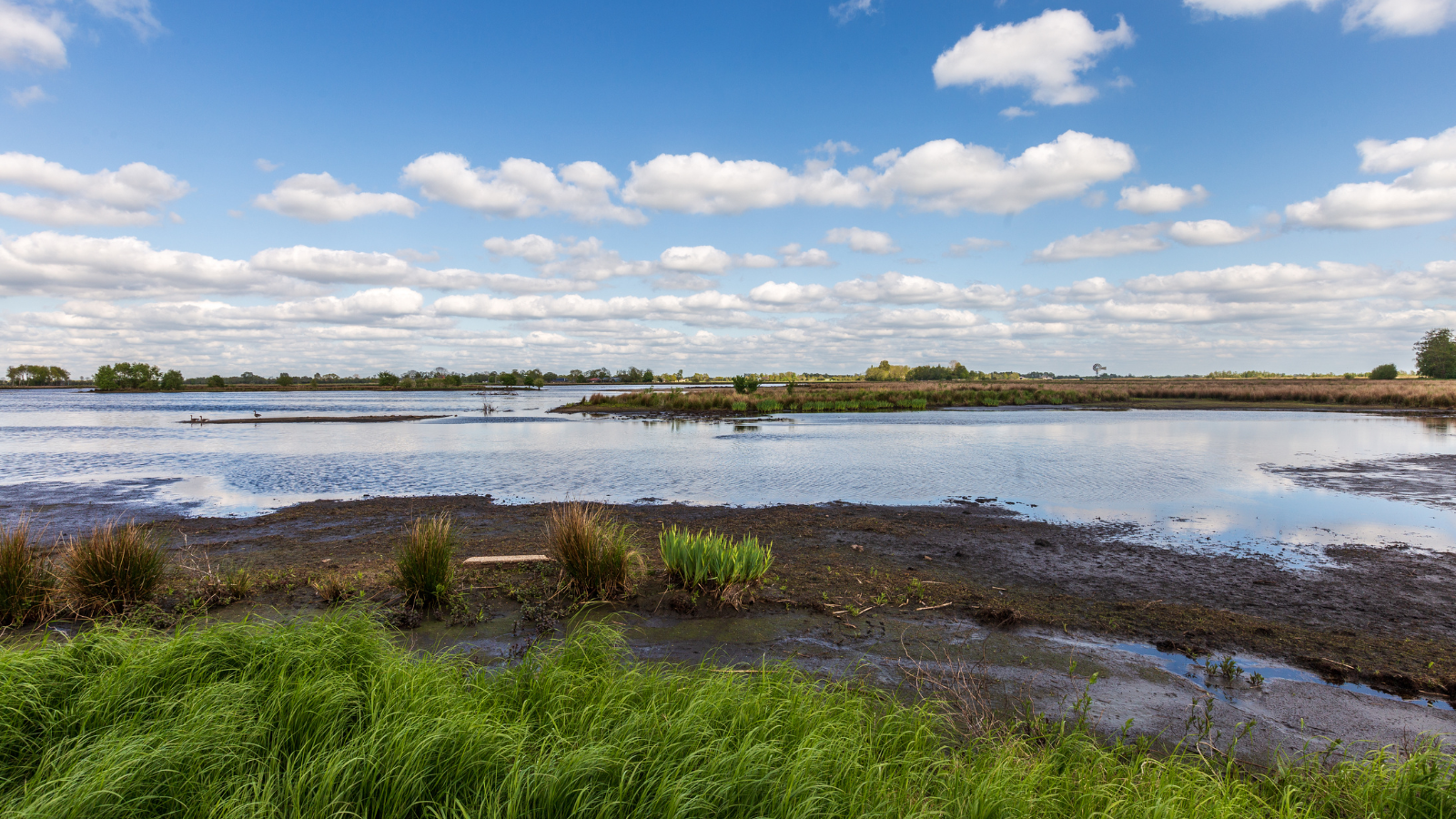 Wandelroute NP De Alde Feanen Jan Durkspolder