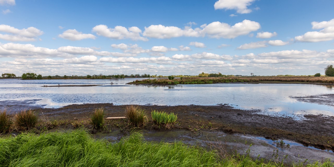 Wandelroute NP De Alde Feanen Jan Durkspolder