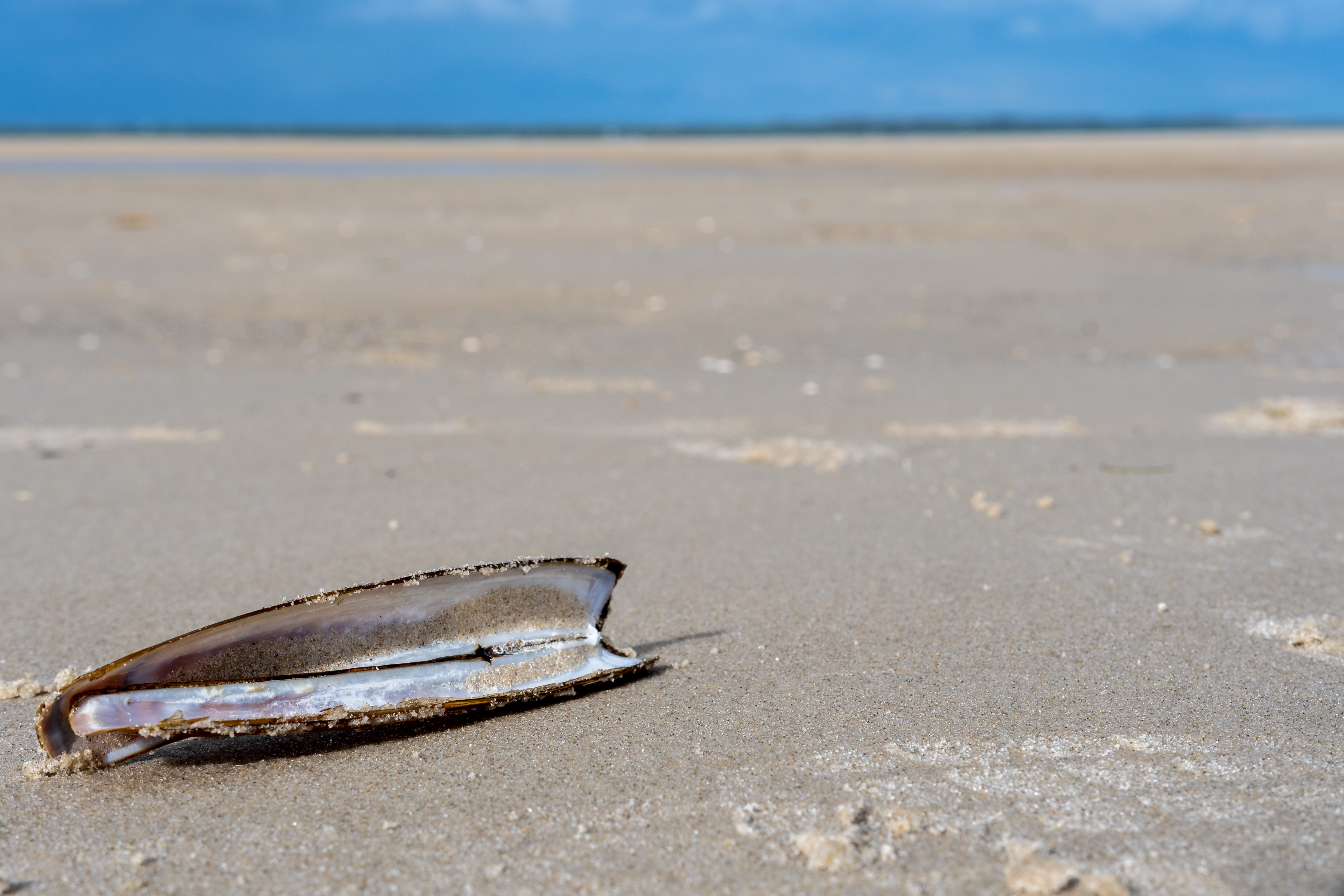 Kerstdecoratie maken van je strandjutvondsten