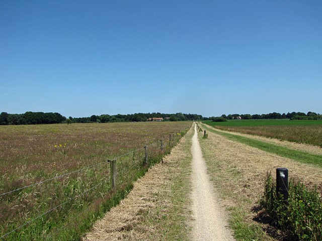 De Groote Peel
