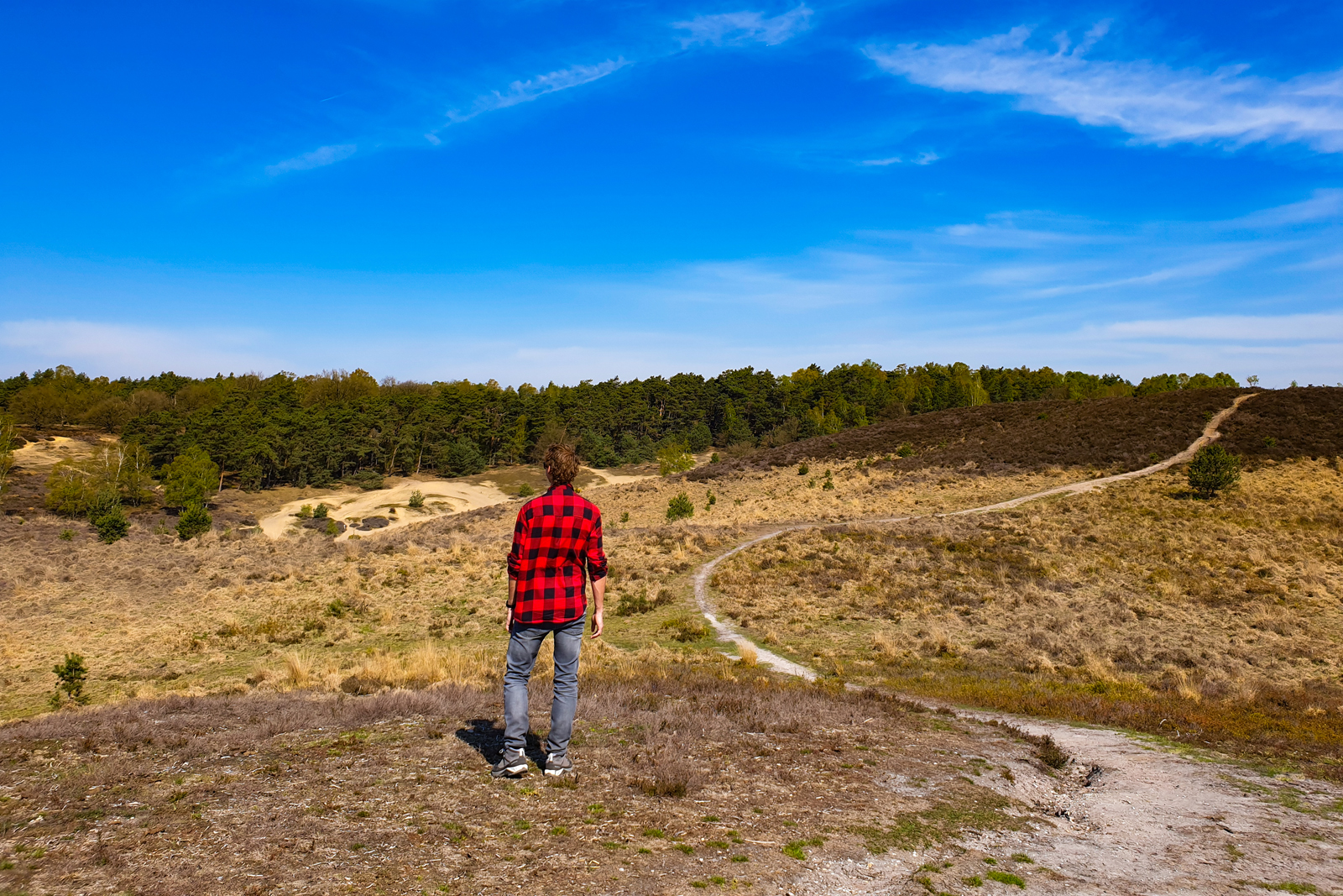 Autovrije wandelroutes hier is het lekker rustig en stil: Posbank