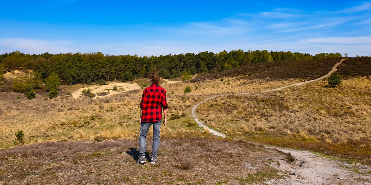 Autovrije wandelroutes hier is het lekker rustig en stil: Posbank