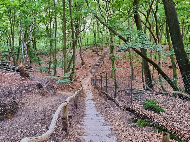 Route Zevenheuvelenhike