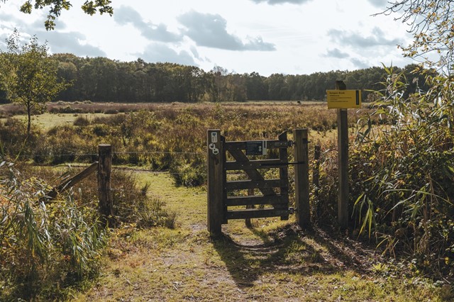 Toegangshekje naar het Wijffelterbroek