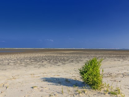 De Marker Wadden