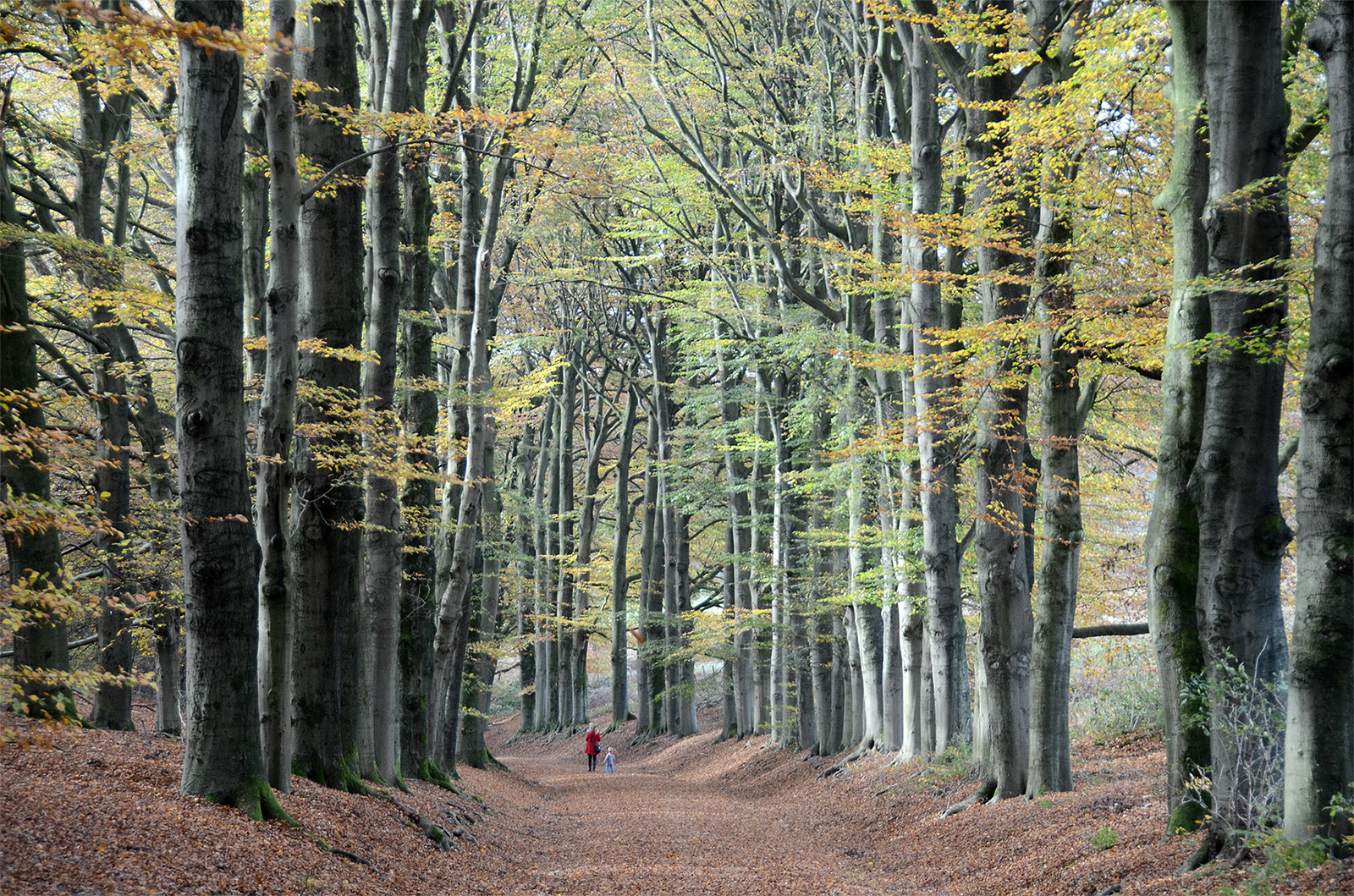 Landgoed Mariëndaal (Afbeelding: Henk Monster)