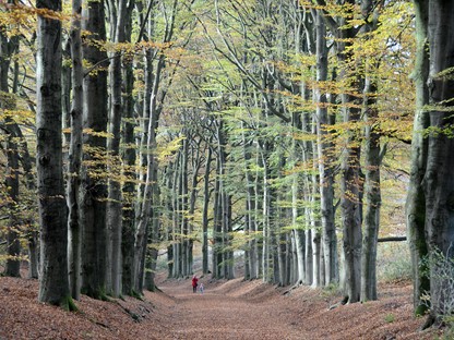 Landgoed Mariëndaal (Afbeelding: Henk Monster)