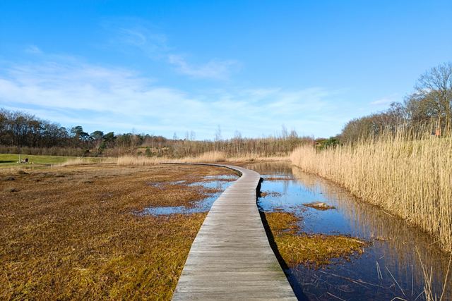 Wandelroute Spanderswoud Zanderij Crailoo Vlonderpad