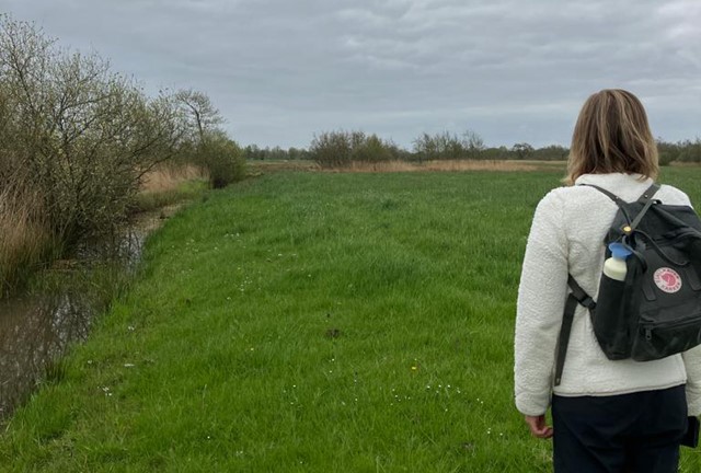 Afbeelding graslanden