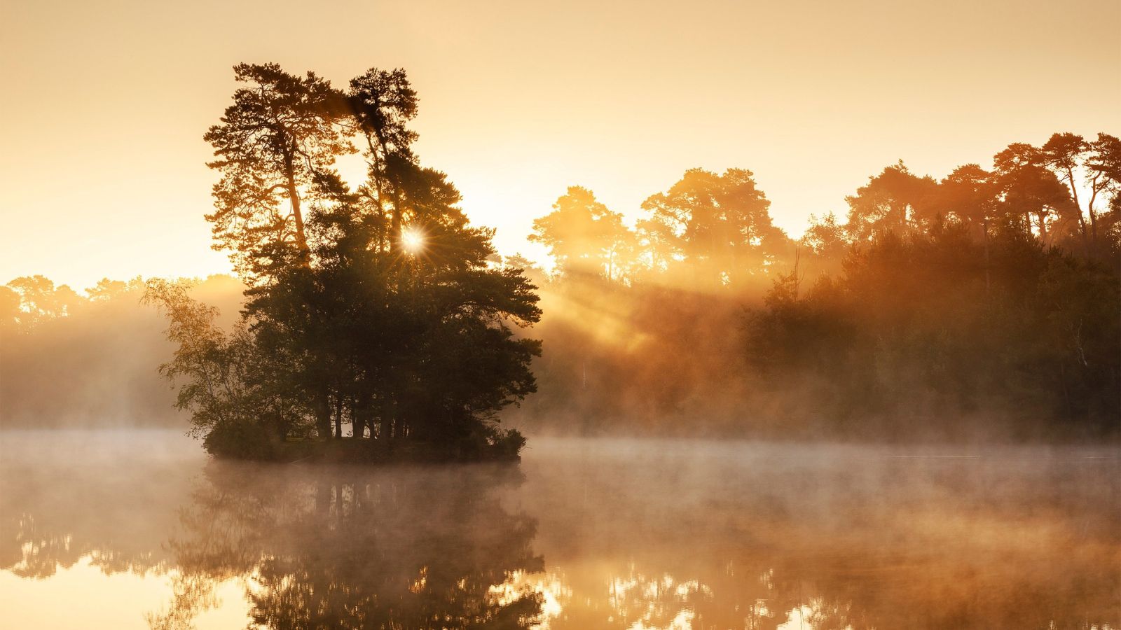 5x de mooiste wandelroutes in De Kampina