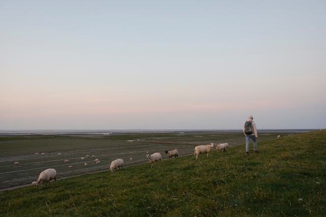 De Wind Als Reisgenoot