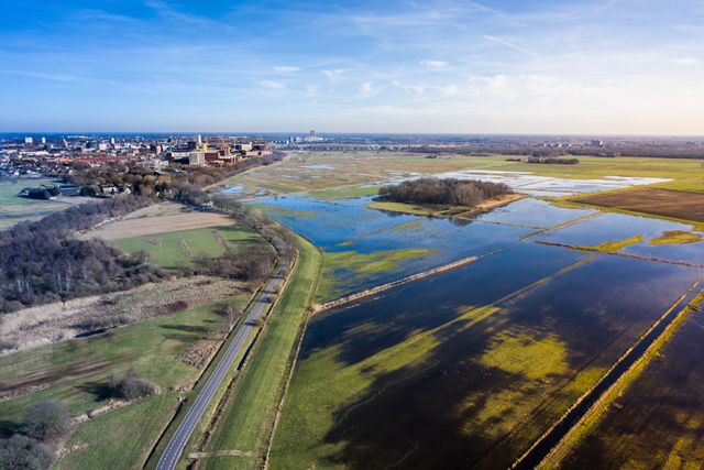 Wandelroute Bossche Broek Fort Isabella Moerasdraak
