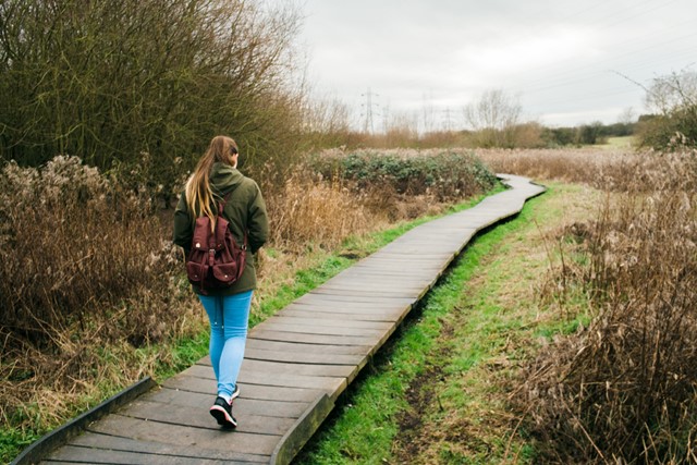 vrouw wandelt over een vlonderpad in de Oostvaardersplassen.