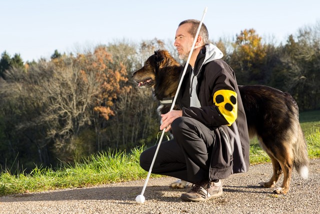 afbeelding van een wandelaar met een geleidehond.