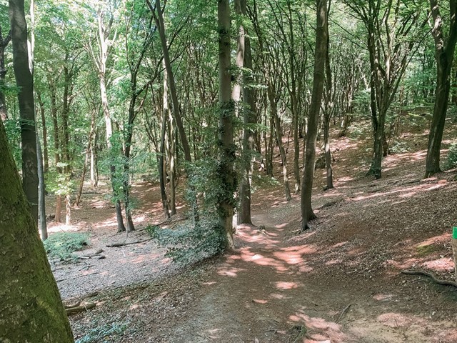 Proeflopen Zevenheuvelenhike