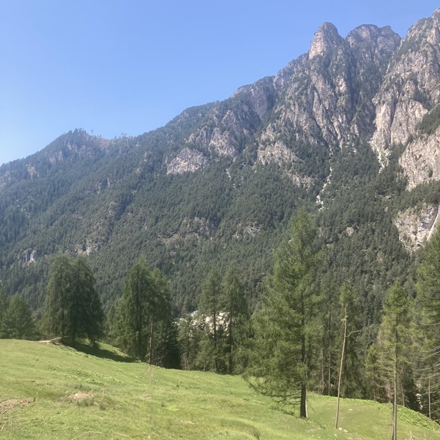 groene bergen in Italië.