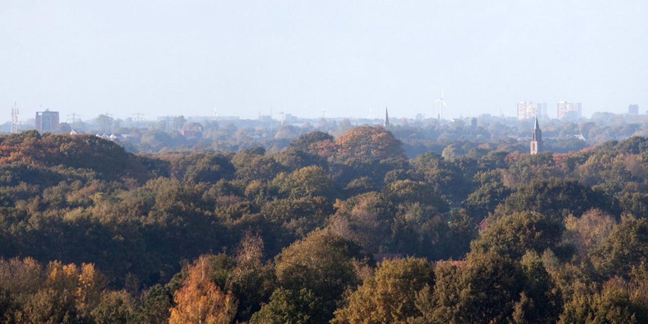 afbeelding van een weids uitzicht over bomen en stadjes, vanaf de uitkijktoren de Woldberg.