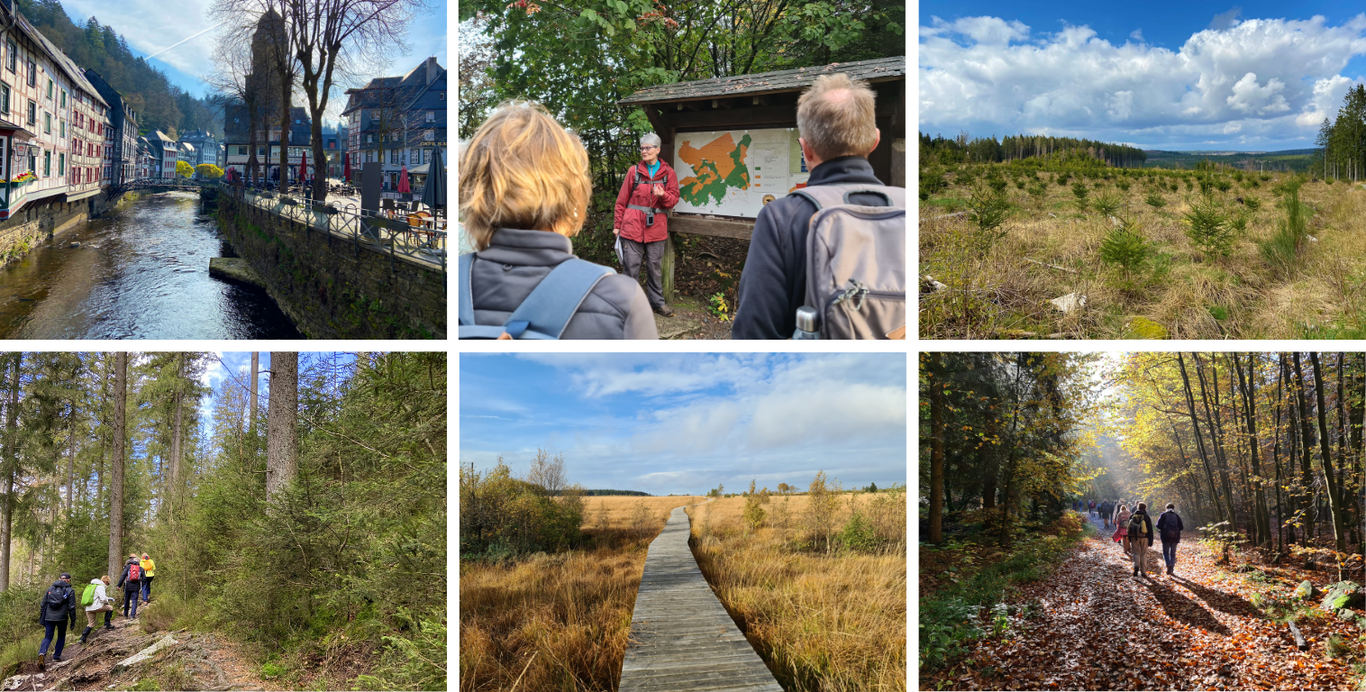 Wandelreis Hoge Venen Fotocollage