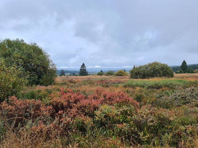 Natuurpark Hoge Venen