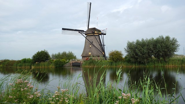 Afbeelding 5 | Wandelroutes bij steden: Leiden