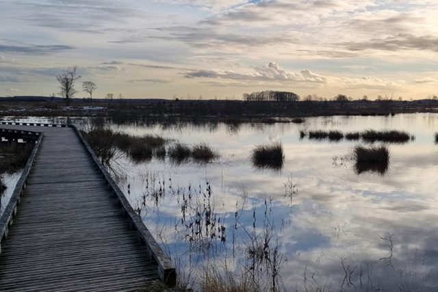 Wandelen Drenthe 5X De Mooiste Wandelroutes Dwingelderveld