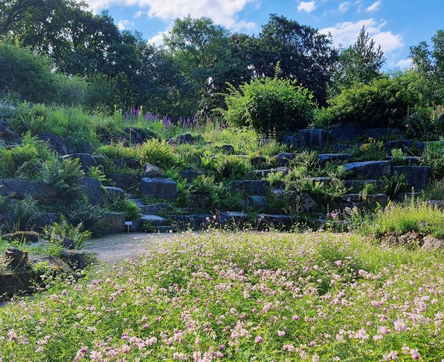 Hortus Nijmegen