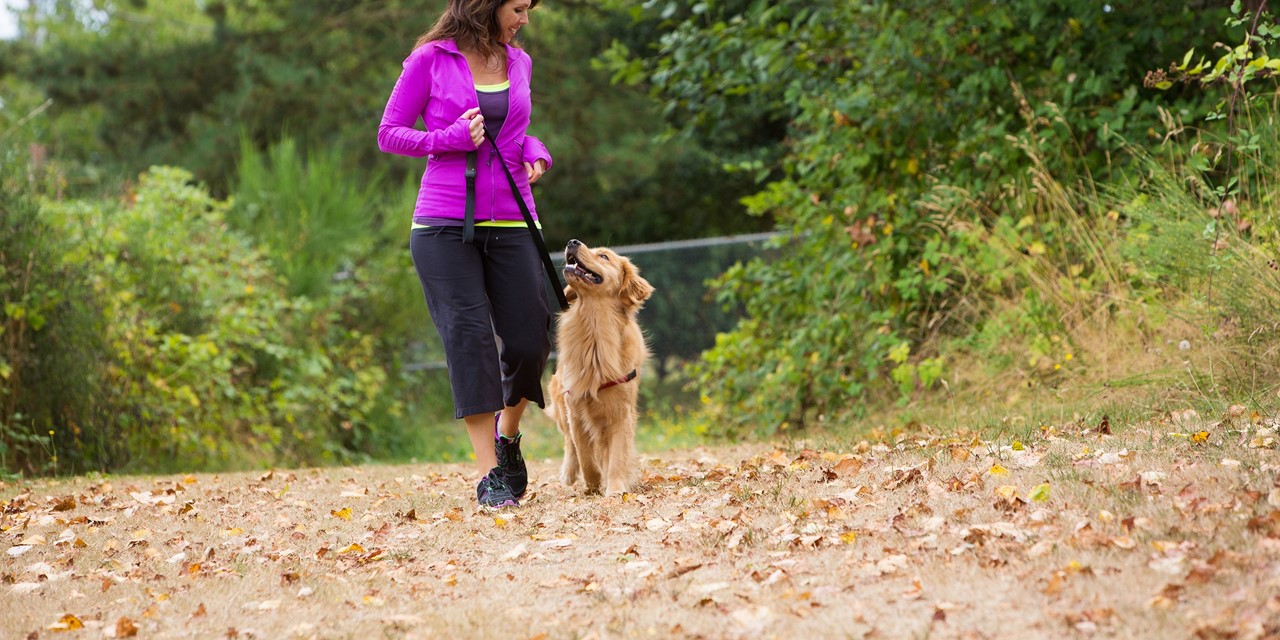 Vrouw wandelt met hond aan de riem