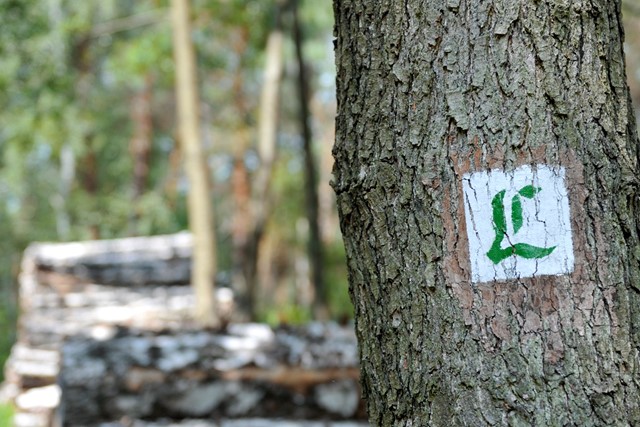 Lutherweg 