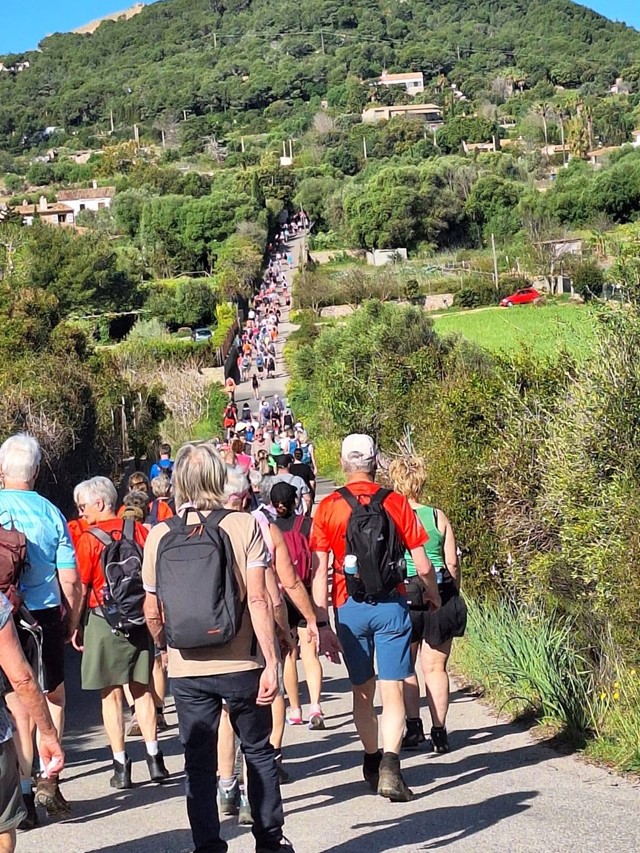 Kies voor 15 of 25 kilometer tijdens de 4-daagse van Mallorca