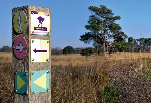 Netwerkwandelen wegwijzer