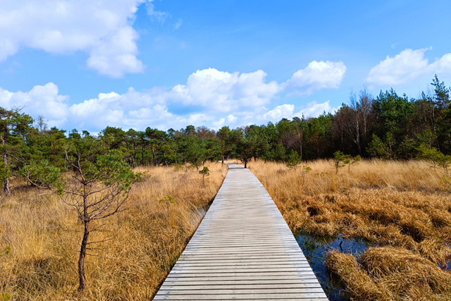 Wandelroute Landgoed Twickel Umfassungsweg Vlonderpad