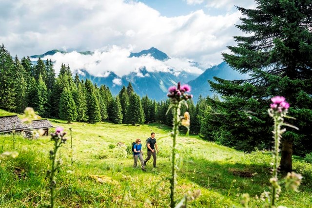Afbeelding 1 | Wandelbeleving In Oostenrijk (1)
