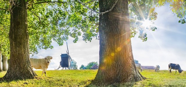 De omgeving van Poelberg en Tielt in West-Vlaanderen