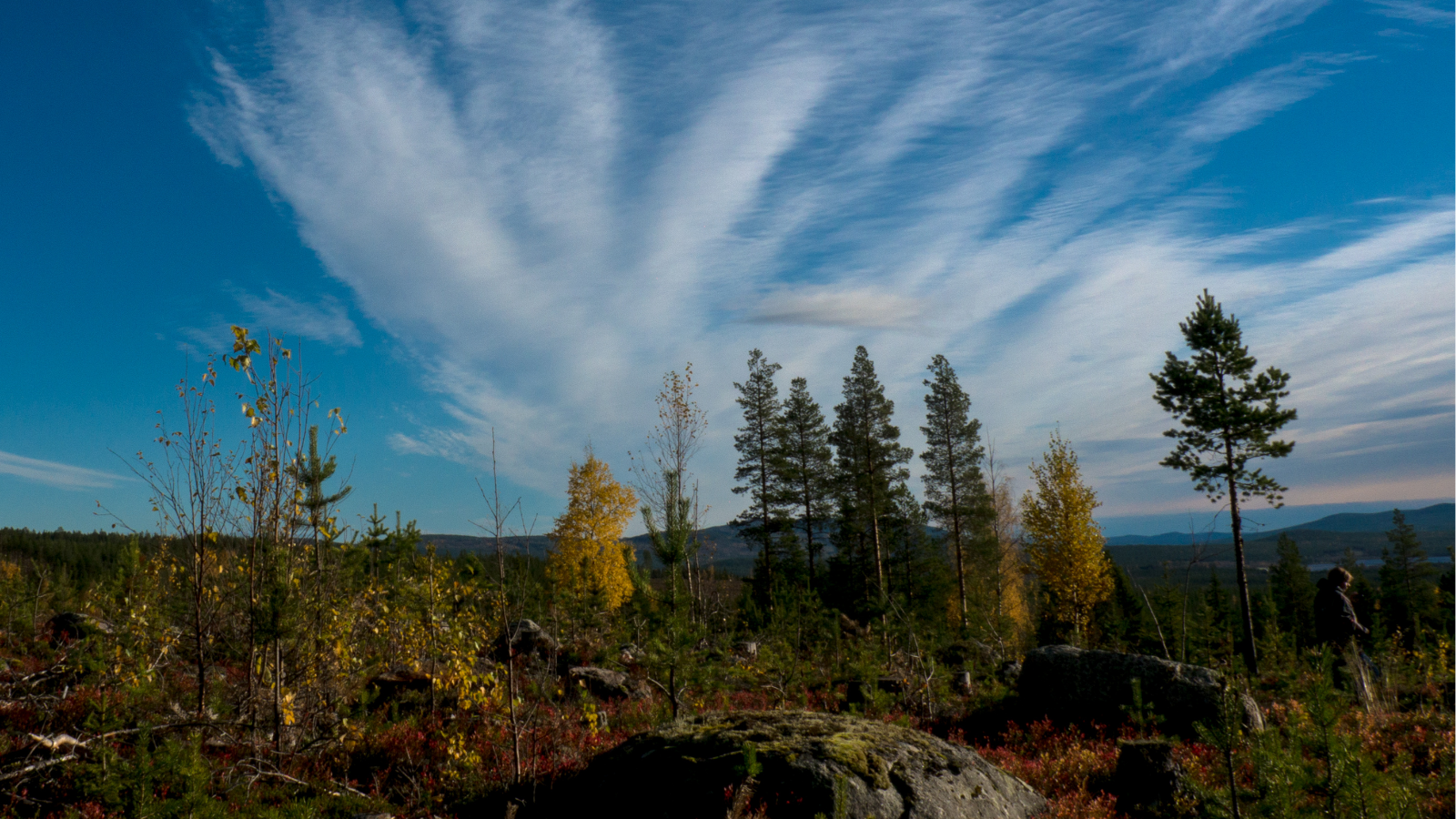 Wandelen In Zweden Zweeds Lapland