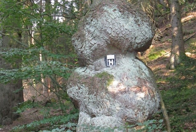 Wandelmarkering op een bergroute voor wandelaars