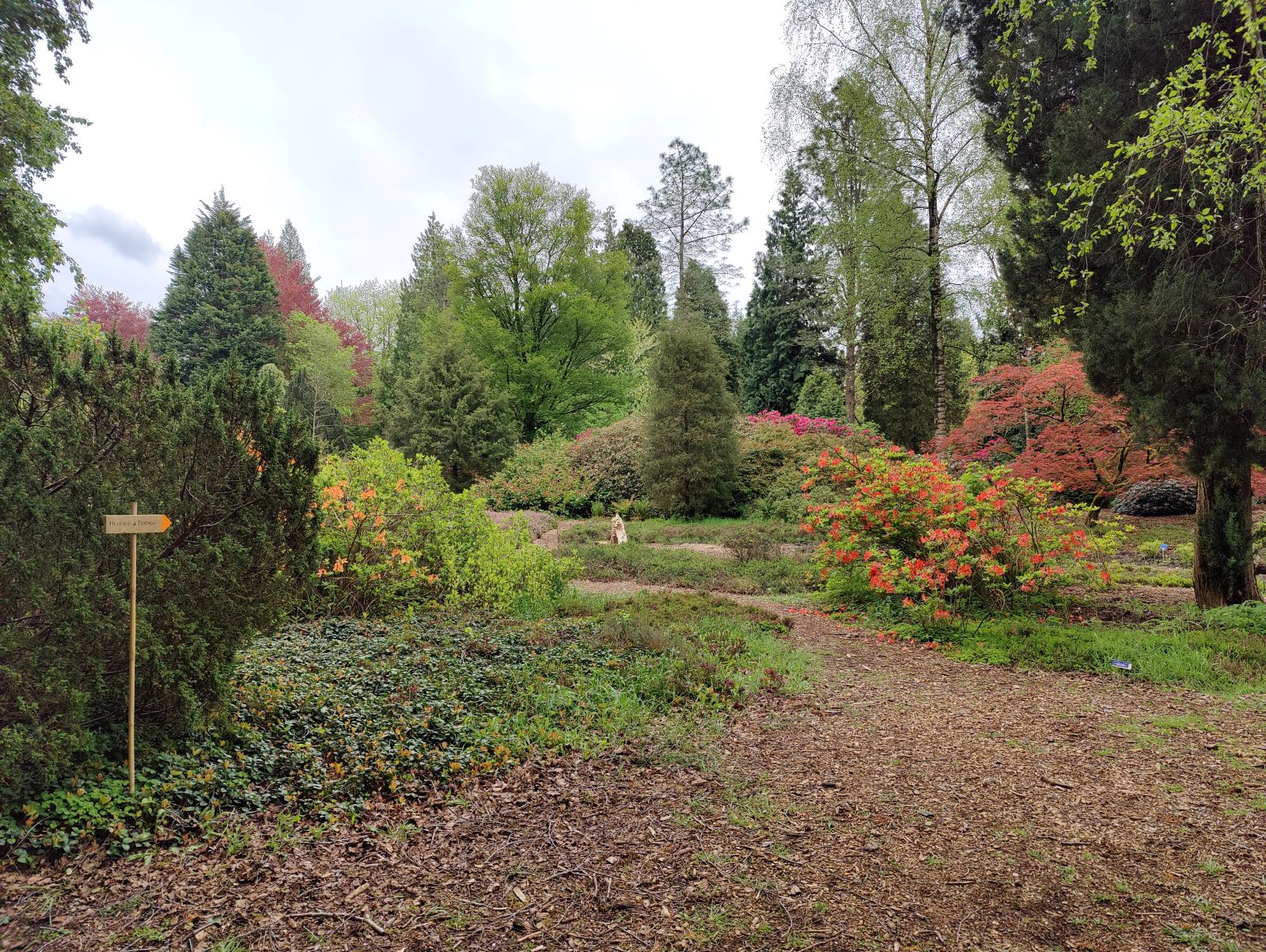 Wandelen Door De Mooiste Arboreta Van Nederland: Arboretum Doorn