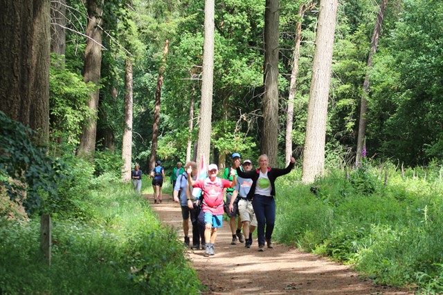 afbeelding van een groepje wandelaars in het bos.