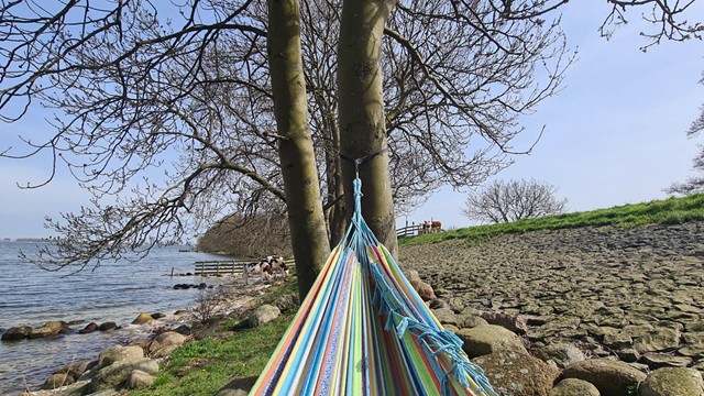 afbeelding van een hangmat aan het water, bij de dijk in Muiden.