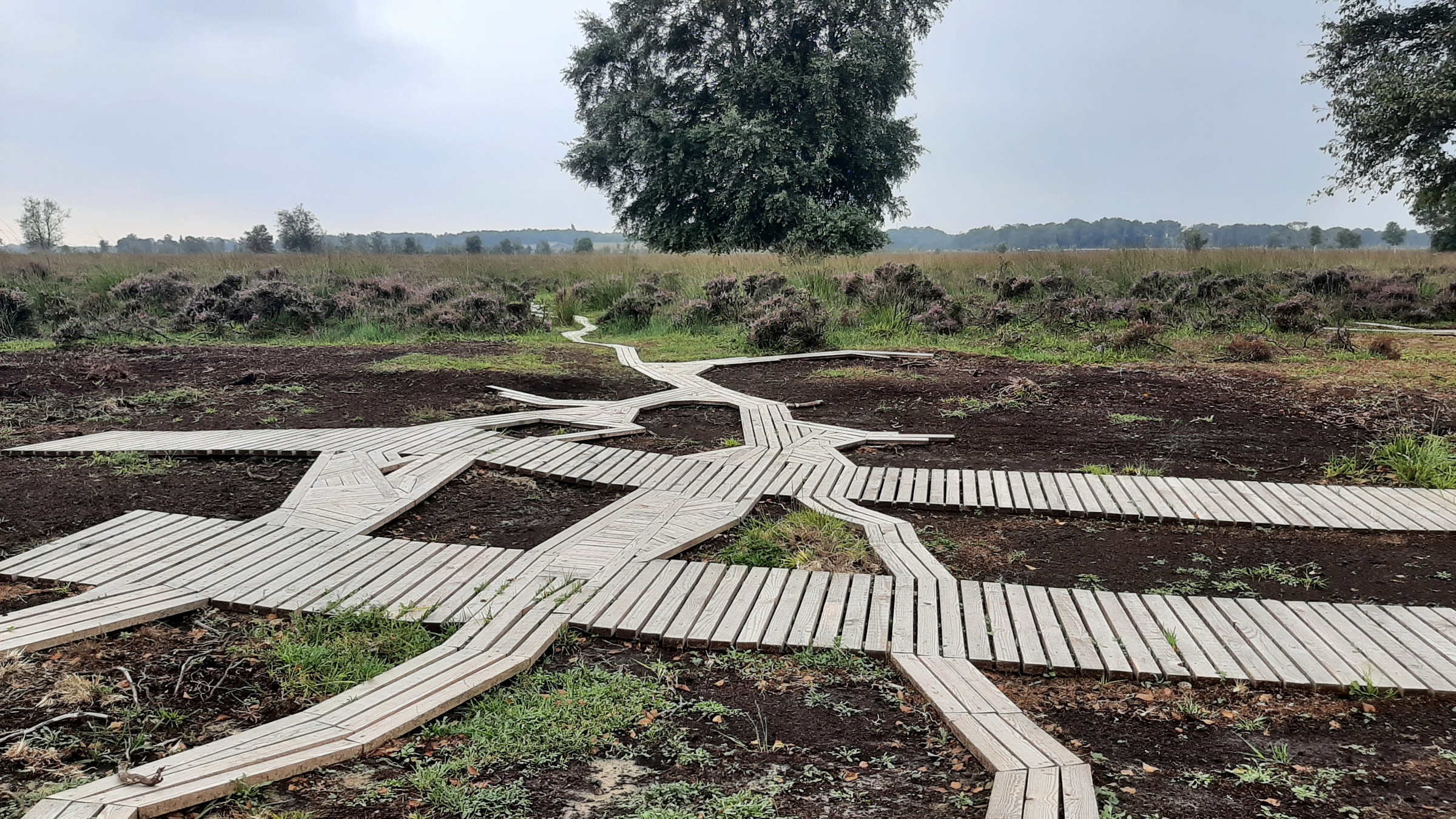 Houten paden van Maurice Meewisse