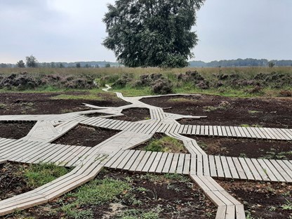 Houten paden van Maurice Meewisse