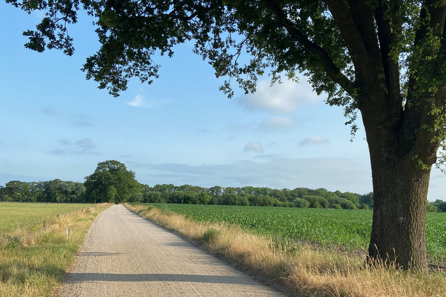 Wandelroute Scholtenpad dagwandeling E