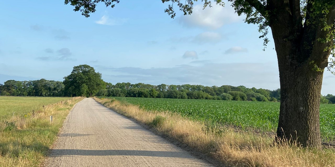 Wandelroute Scholtenpad dagwandeling E