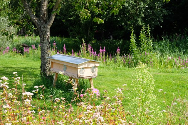 Bijenkast bij de BijenBoerderij in Strijbeek.