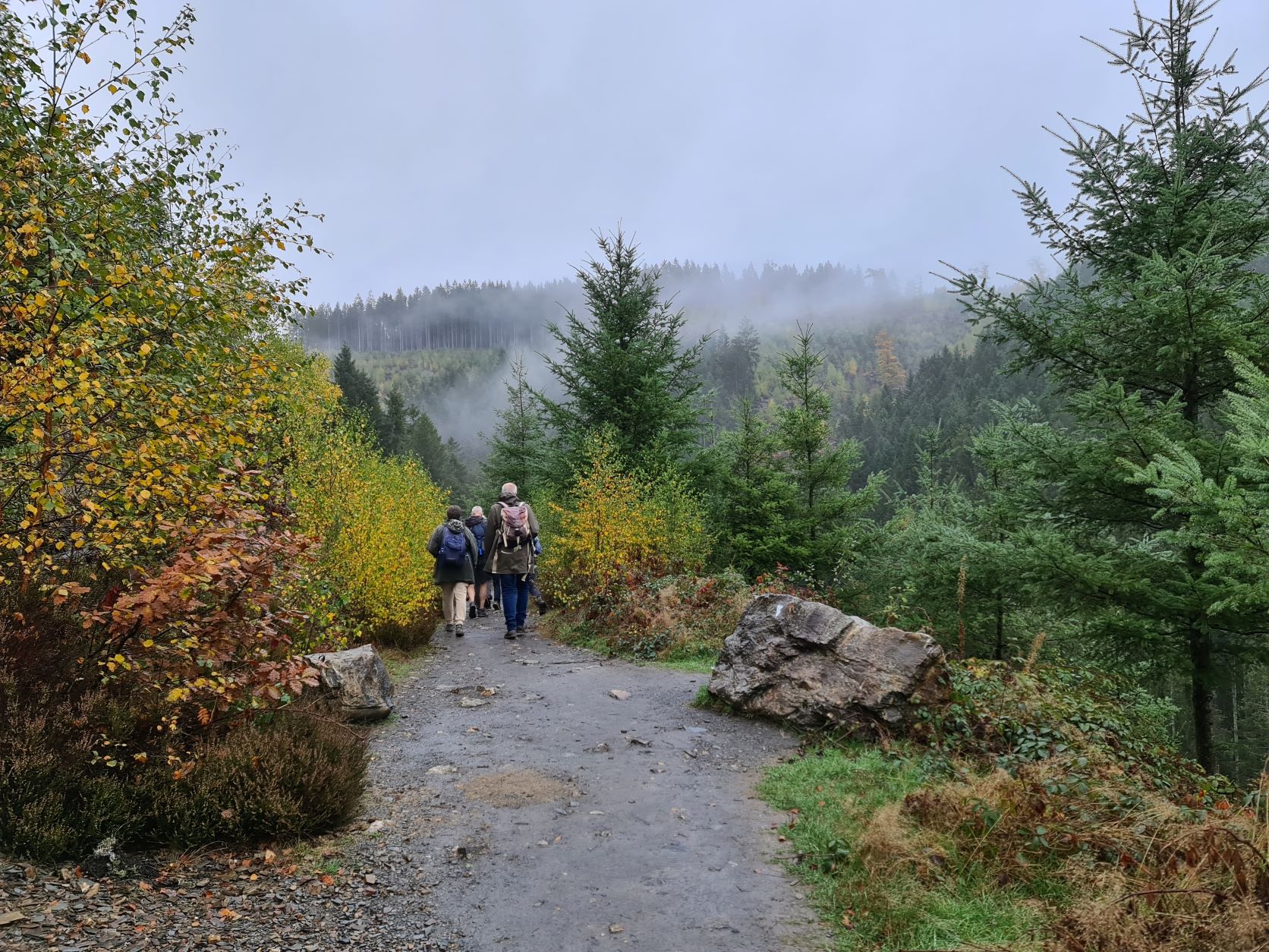 Wandelaars Hoge Venen