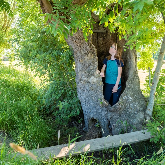 Agnes staat in een holle boom.