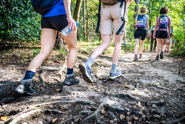 Zevenheuvelenhike