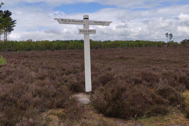 De Mooiste Pelgrimstochten In Eigen Land Gelukkigerwijspad (Utrecht)
